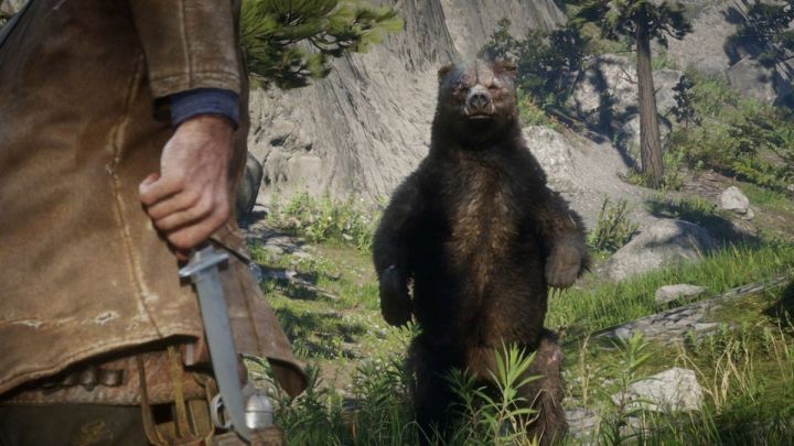 Spotkanie z niedźwiedziem w Red Dead Redemption 2 należy do tych, których nie zapomni się przez co najmniej dwie generacje. - 6 zwierząt, których potrzebujesz w świecie postapo i 3, które lepiej zjeść - dokument - 2021-05-26