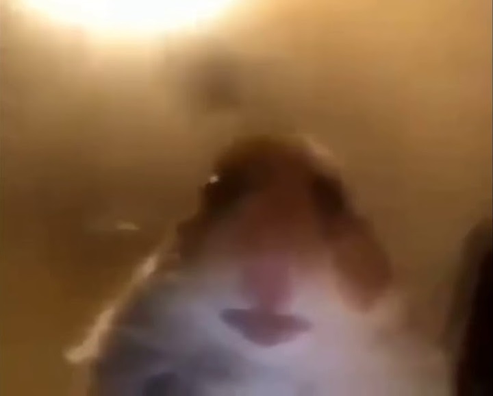 Ta mina kiedy włączysz aplikację Aparat w swoim laptopie. - 10 rzeczy, które trzeba wyrzucić z Windows 10 - dokument - 2020-04-01