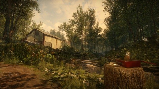 Piękne widoki, osobiste historie oraz smutna atmosfera – Everybody's Gone to the Rapture ma sporo wspólnych elementów z Dear Esther. - 2014-12-26