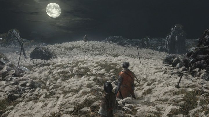 Kto rozpoczął i zakończył przygodę Sekiro na tym skąpanym w blasku księżyca polu, doskonale wie, o czym mówię. - Dekada SoulsBorne, czyli dlaczego From Software to najważniejsze studio ubiegłego dziesięciolecia - dokument - 2020-01-31