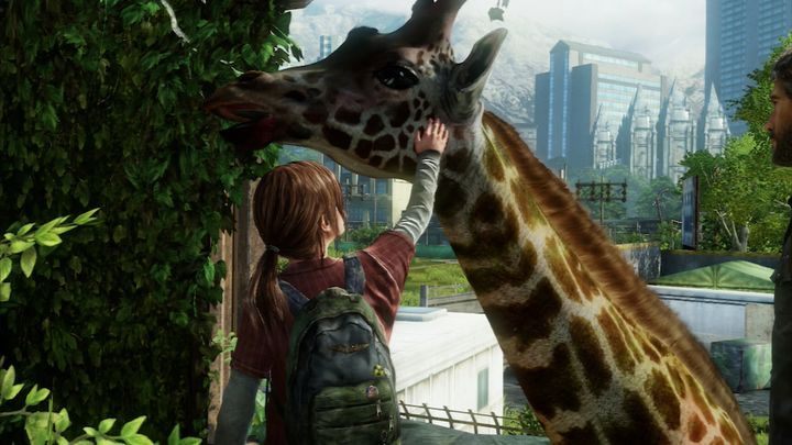 W The Last of Us – oprócz psa – pogłaszczemy również żyrafę. Co prawda tylko w cutscence, ale mój Boże – to żyrafa! - 13 dobrych piesków - gry, w których możesz pogłaskać psa - dokument - 2022-03-12