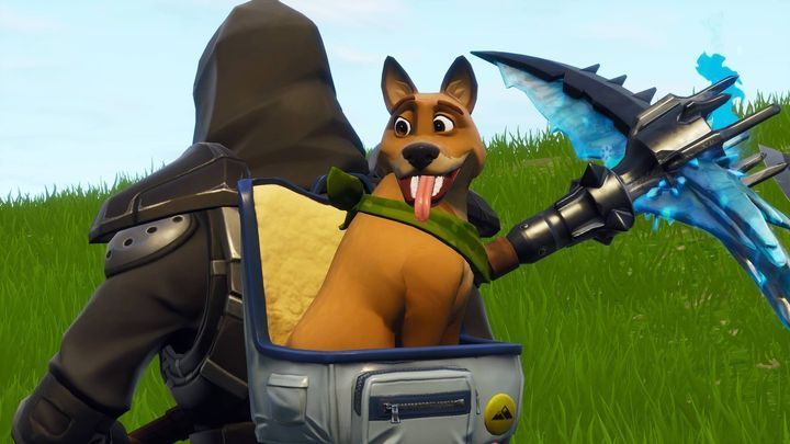 Nowe, oficjalne hasło Fortnite’a: buduj, strzelaj i głaszcz! - 13 dobrych piesków - gry, w których możesz pogłaskać psa - dokument - 2022-03-12