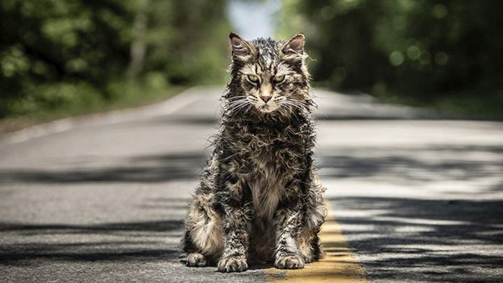 Pet Semetery, reż. Kevin Kolsch i Dennis Wildmyer, Di Bonaventura Pictures 2019 - 10 oklepanych zasad rządzących horrorami - i czy można je unowocześnić - dokument - 2022-09-29