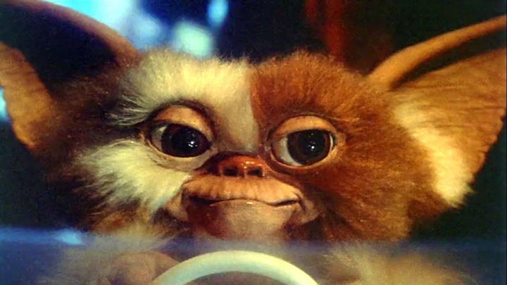 Gremlins, reż. Joe Dante, Warner Bros/Amblin Entertainment 1984 - 10 oklepanych zasad rządzących horrorami - i czy można je unowocześnić - dokument - 2022-09-29