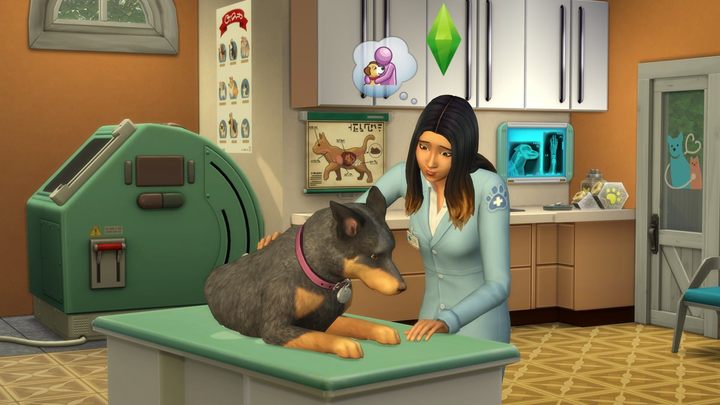 Najnowszy dodatek do The Sims 4 pozwala zaopiekowac sie psem lub kotem. Boimy sie myśleć, co zrobią z tym gracze. - 2017-11-16