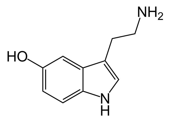 Serotonina – mimo prostoty budowy odgrywa kluczową rolę w utrzymaniu dobrego nastroju. - Masz depresję? Mądre granie może ci pomóc - dokument - 2020-03-28