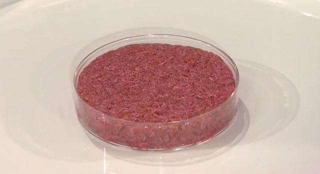 Mięso z próbówki przed usmażeniem. Na te 140 gramów wołowiny in vitro poświęcono lata badań i setki tysięcy dolarów. / źródło zdjęcia: World Economic Forum
