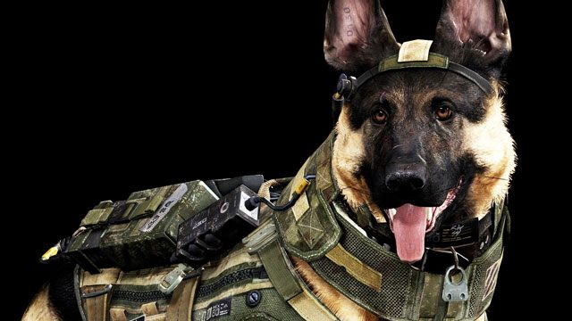 Call of Duty: Ghosts – pieczołowicie odtworzone blizny na pysku psa - 2014-08-27