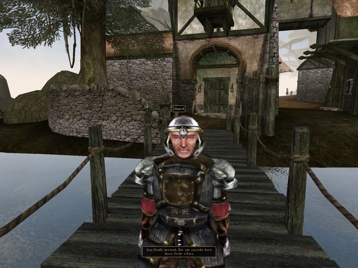 The Elder Scrolls III: Morrowind, Bethesda Softworks, 2002. - Czy Morrowind był Skyrimem swoich czasów? Czas na nostalgiczną podróż do 2002 roku - dokument - 2024-08-20