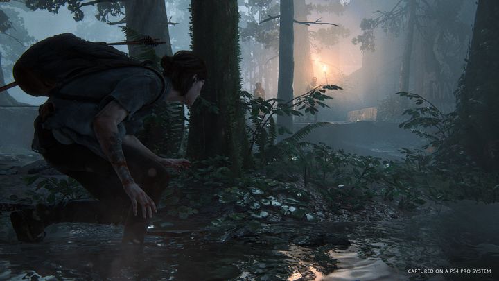 Gra skupi się na aspekcie skradankowym. - Wszystko o The Last of Us 2 - premiera, edycja kolekcjonerska, cena - dokument - 2020-06-23