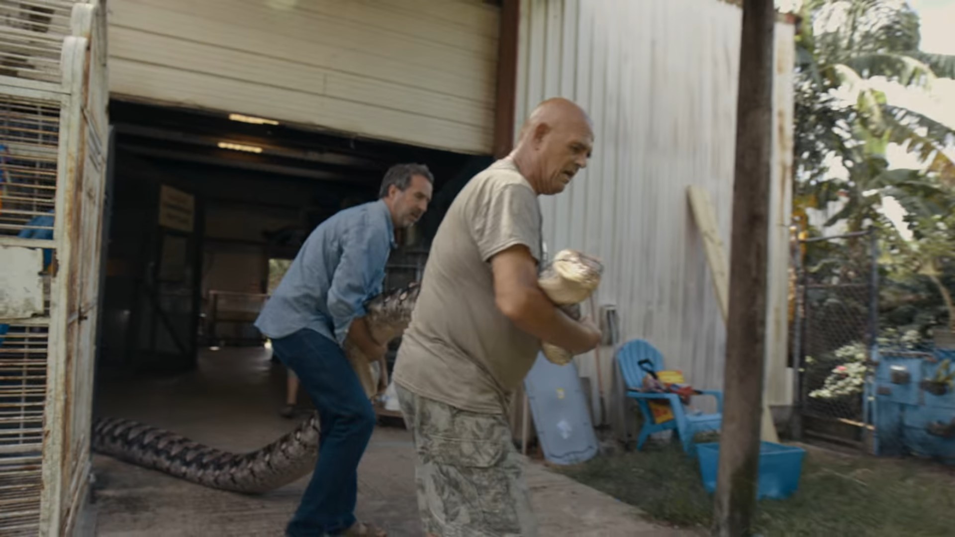 Reżyser Eric Goode (drugi plan) z 23-letnim wężem - Tygrysy, ludzie i władza – serialowe narkotyki Netflixa - dokument - 2020-05-12