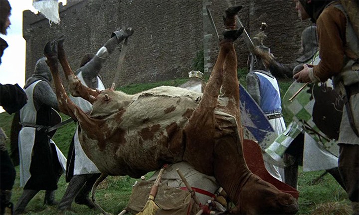 Ciskanie krową za mury w filmie Monty Pythona to nie tylko żart popularnych artystów, ale i ziarno prawdy historycznej o średniowiecznych metodach walki. Źródło: IMDb - Krowy za mury - jak w średniowieczu naprawdę oblegano miasta i zamki - dokument - 2021-05-20