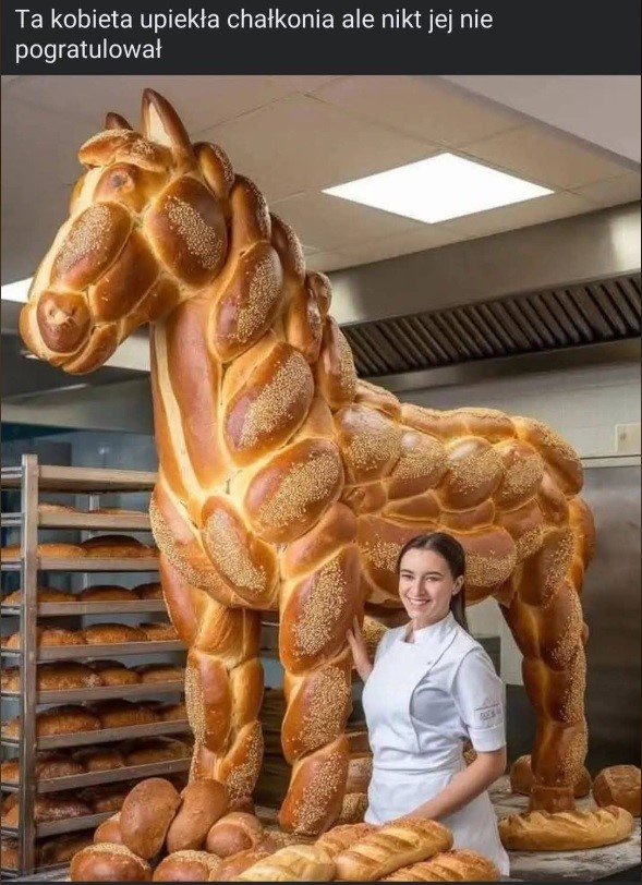 „Za ten przerysowany, karykaturalny post zebraliśmy ogromne zasięgi, post zobaczyło ponad milion osób. W komentarzach pojawiły się nieironiczne gratulacje dla twórczyni Chałkonia, głównie od starszych osób, przeplatane oczywiście śmieszkami czy (na szczęście) ostrzeżeniami, że to jest grafika AI” – pisze donald.pl. - Innego końca sieci nie będzie. Teoria martwego internetu - dokument - 2025-04-18