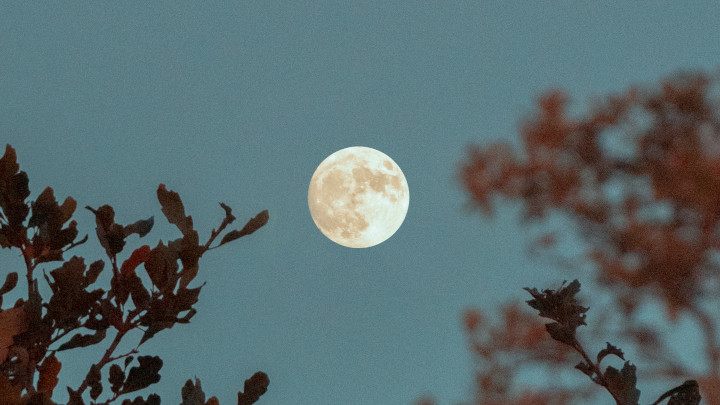 Księżyc widziany z Ziemi. Źródło: Unsplash - 5 korzyści, jakie może dać ludzkości baza na księżycu - dokument - 2022-08-12