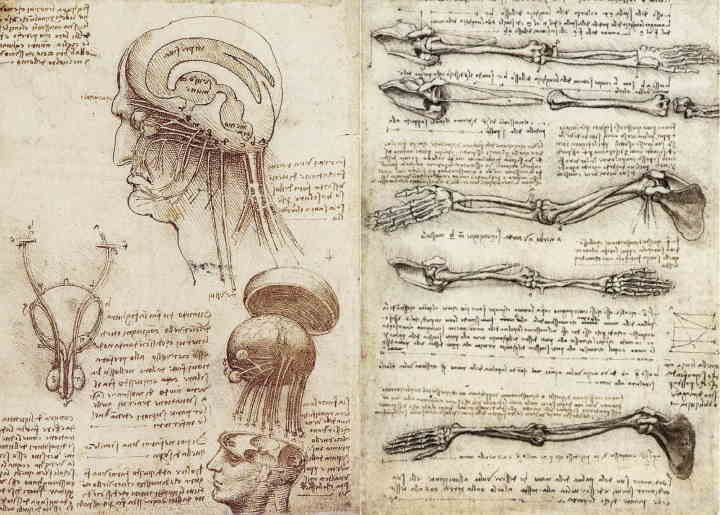 Ilustracje wykonane przez da Vinciego, źródło: drawingsofleonardo.org/Public Domain - Co w człowieku można wymienić na sztuczny zamiennik? - dokument - 2022-04-25