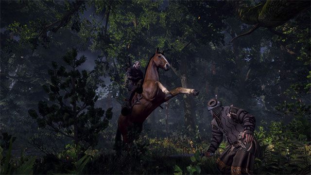 Czy Geralt będzie mógł walczyć na koniu? Przekonamy się już niebawem. - 2013-05-24