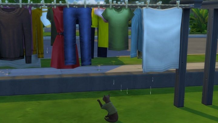 Wielkie pranie nie powala zawartością, ale koty zdają się dobrze bawić. Albo przynajmniej jakoś się bawić. - Wydałam 50 zł, żeby zrobić pranie w The Sims 4. Nie było warto - dokument - 2020-03-08