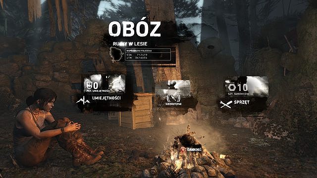 Z początku Lara nie potrafi zbyt wiele, ale z czasem otrzymuje dostęp do różnorodnych umiejętności. - 2013-03-05