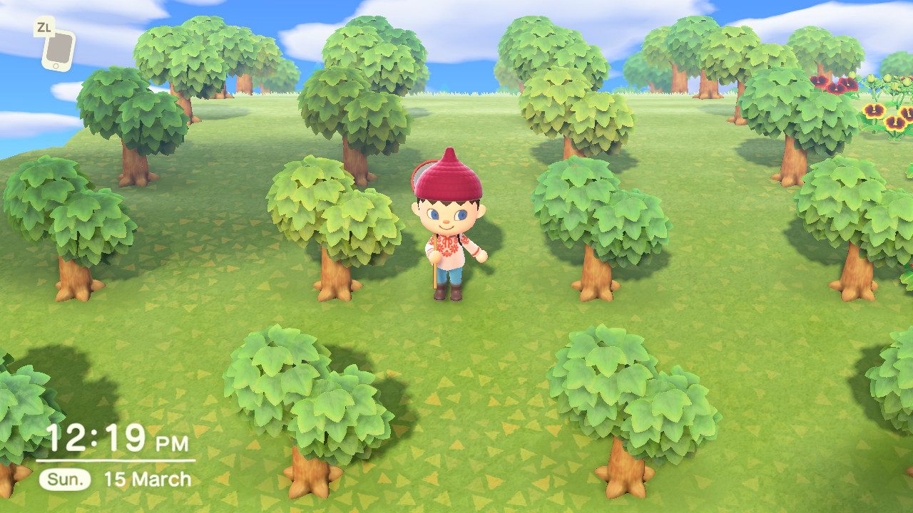 Psychopatyczny uśmiech, podejrzanie kolorowe ciuszki i schowana za plecami siatka. Oto zawodowy porywacz i handlarz żywym towarem. - Recenzja Animal Crossing: New Horizons – gry, która się nie spieszy - dokument - 2020-03-16