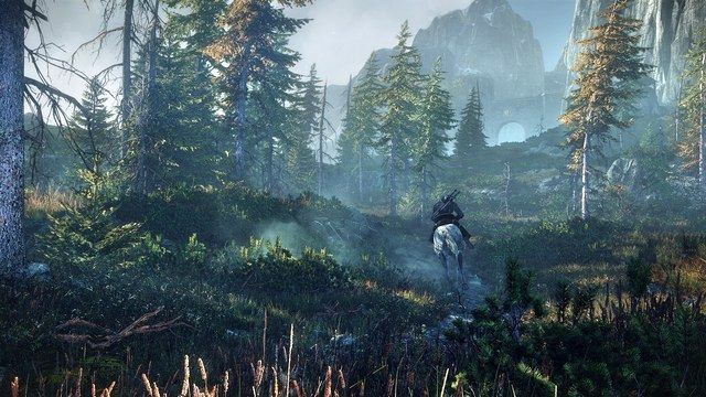 Wiedźmin 3: Dziki Gon prosto z E3 2013 - już graliśmy! - ilustracja #3