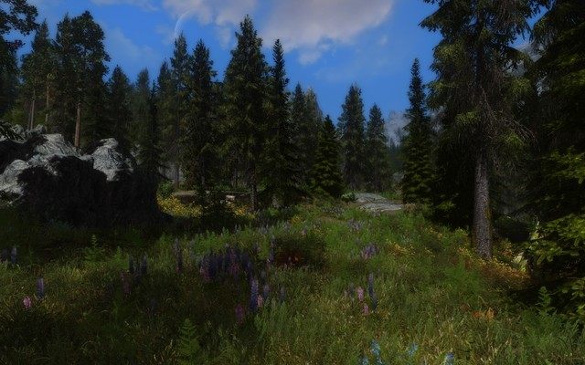 The Elder Scrolls V: Skyrim mod Skyrim Flora Overhaul v.191