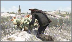 Cel: Zbierz 8x Prickly Pear , szukaj w okolicy Punta Orgullo - Survivalist | Wyzwania | Red Dead Redemption - Red Dead Redemption - poradnik do gry