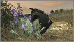 Cel: Zbierz 7x Woolly Blue Curl , szukaj w okolicy Perdido - Survivalist | Wyzwania | Red Dead Redemption - Red Dead Redemption - poradnik do gry