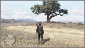 5 - Treasure Hunter (2) | Wyzwania | Red Dead Redemption - Red Dead Redemption - poradnik do gry