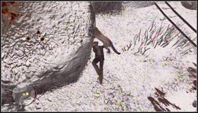 Po wdrapaniu się na kilka pierwszych półek skalnych natrafisz na niedźwiedzia #1 - The North (2) | Opis przejścia | Red Dead Redemption - Red Dead Redemption - poradnik do gry