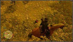 Cel: Zabij pięć królików - Sharpshooter | Wyzwania | Osiągnięcia | Red Dead Redemption - Red Dead Redemption - poradnik do gry