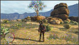 1 - Treasure Hunter | Wyzwania | Osiągnięcia | Red Dead Redemption - Red Dead Redemption - poradnik do gry