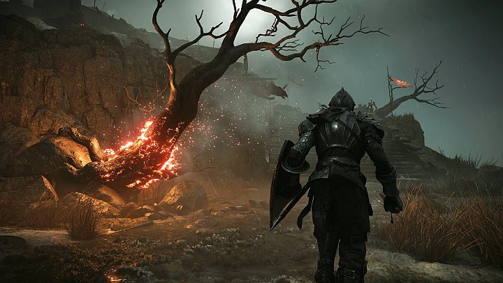 W grze Demons Souls nie prowadzi się dziennika questów i gra nie wyświetla też na ekranie informacji na temat zadań - Demons Souls: Questy, lokacje i bossowie - lista - Demons Souls - poradnik do gry