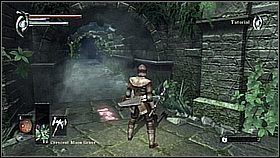 Biegniemy przed siebie kanałem wodnym - Demons Souls: Journey to the Nexus - solucja, opis przejścia - Demons Souls - poradnik do gry