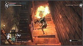 3 - Demons Souls: Stonefang Tunnel (3) - solucja, opis przejścia - Demons Souls - poradnik do gry