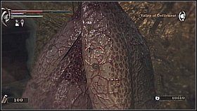 1 - Demons Souls: Leechmonger Archstone (1) - solucja, opis przejścia - Demons Souls - poradnik do gry