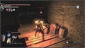 8 - Demons Souls: Penetrator Archstone (+ Blue Dragon) (1) - solucja - Demons Souls - poradnik do gry
