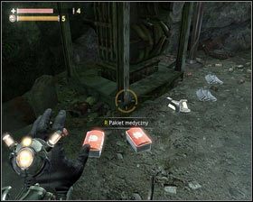 12 - - Kompleks przetwórczy (2) | Opis przejścia Singularity - Singularity - poradnik do gry