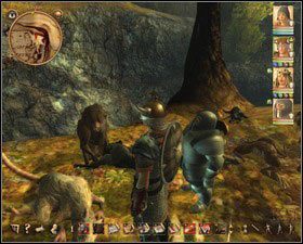 5 - Elfi Las | Zadania poboczne w Drakensang The River of Time - Drakensang: The River of Time - poradnik do gry