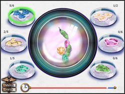 Twoim zadaniem jest posortowanie wszystkich mikrobów, które znajdziesz pod mikroskopem - Opis przejścia (4) | Blue Meanie | House M.D. - House M.D. - poradnik do gry