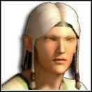 Silne cechy: SPR, INT, CHA - Archetypy znawców natury | Bohater w Drakensang The River of Time - Drakensang: The River of Time - poradnik do gry