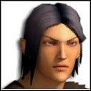 Silne cechy: ZWI, BUD, SI - Archetypy znawców natury | Bohater w Drakensang The River of Time - Drakensang: The River of Time - poradnik do gry