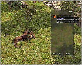 Zleceniodawca: automatycznie po odnalezieniu łuku Ivy [Feshyr ] - Prolog (3) | Zadania główne Arcania Gothic 4 - Arcania: Gothic 4 - poradnik do gry