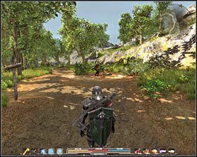 Do niewielkiego obozowiska, w którym przebywa Irrigh dotrzesz już za kilka chwil #1 (M6, 4) - Srebrowód (3) | Zadania główne Arcania Gothic 4 - Arcania: Gothic 4 - poradnik do gry