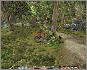 1 - Bagna (1) | Zadania główne Arcania Gothic 4 - Arcania: Gothic 4 - poradnik do gry