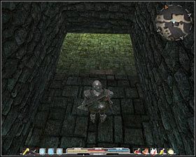 9 - Bagna (5) | Zadania główne Arcania Gothic 4 - Arcania: Gothic 4 - poradnik do gry