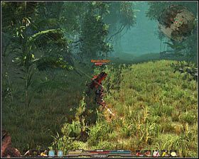 Niezależnie od wybranej ścieżki musisz przesuwać się na północ, co docelowo pozwoli Ci dotrzeć do wejścia do dżungli #1 (M9, 5)(M10, 1) - Czarne Jary i dżungla (1) | Zadania główne Arcania Gothic 4 - Arcania: Gothic 4 - poradnik do gry