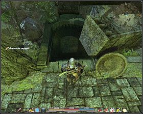 Podejdź trochę do przodu, a zostaniesz zaczepiony i zaatakowany przez szalonego Brona #1 - Czarne Jary i dżungla (1) | Zadania główne Arcania Gothic 4 - Arcania: Gothic 4 - poradnik do gry