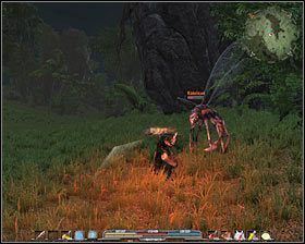 Docelowo musisz dotrzeć do głównej dróżki prowadzącej na północ #1 , przy czym będzie ona pilnowana przez nieumarłych (M10, 8) związanych ze wspomnianym wyżej pobocznym questem - Czarne Jary i dżungla (2) | Zadania główne Arcania Gothic 4 - Arcania: Gothic 4 - poradnik do gry