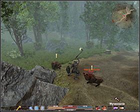 2 - Srebrowód (1) | Zadania poboczne w Arcania Gothic 4 - Arcania: Gothic 4 - poradnik do gry