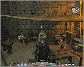 W celu spełnienia postawionych przez grę wymagań musisz zdobyć sześć orzechów , przy czym warto naturalnie zlikwidować wszystkie dziki - Srebrowód (1) | Zadania poboczne w Arcania Gothic 4 - Arcania: Gothic 4 - poradnik do gry